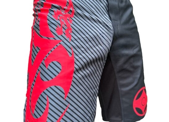 Kyokushin Shorts