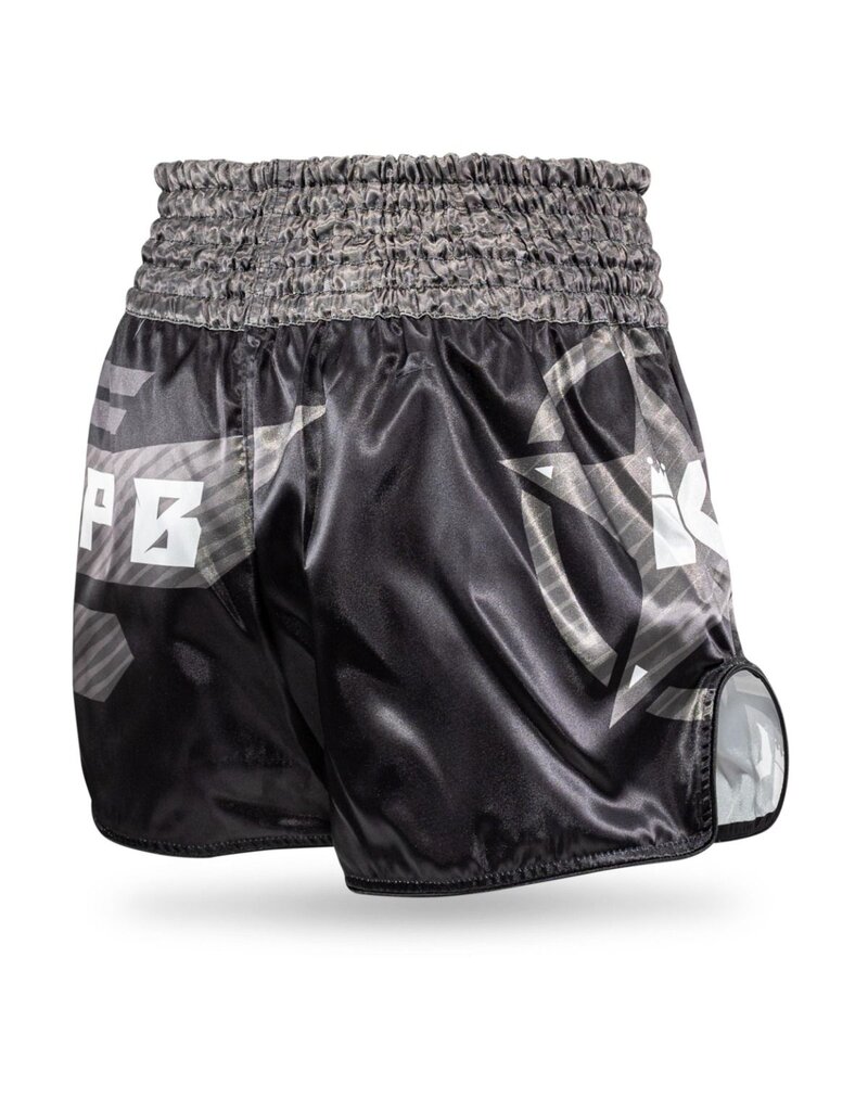 KING pro boxing King AD Legion 2 Kickboxing shorts