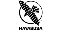 HAYABUSA