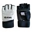 ISAMI ISAMI Full contact Karate sparring gloves