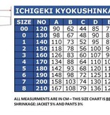 ICHIGEKI KYOKUSHIN KARATE GI WITH ICHIGEKI EMBROIDERY