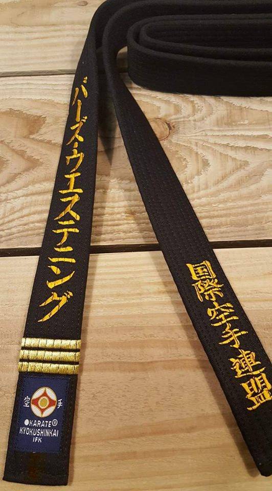 Коричневый пояс Budo Belt Shotokan золото