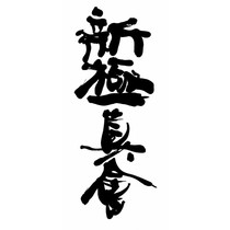 Shin-Kyokushin Kanji borduring - Navy blauw