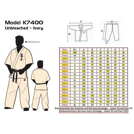 ISAMU  勇SHINKYOKUSHINKAI Kiyoi KARATE PREMIUM CLASSIC IVORY GI