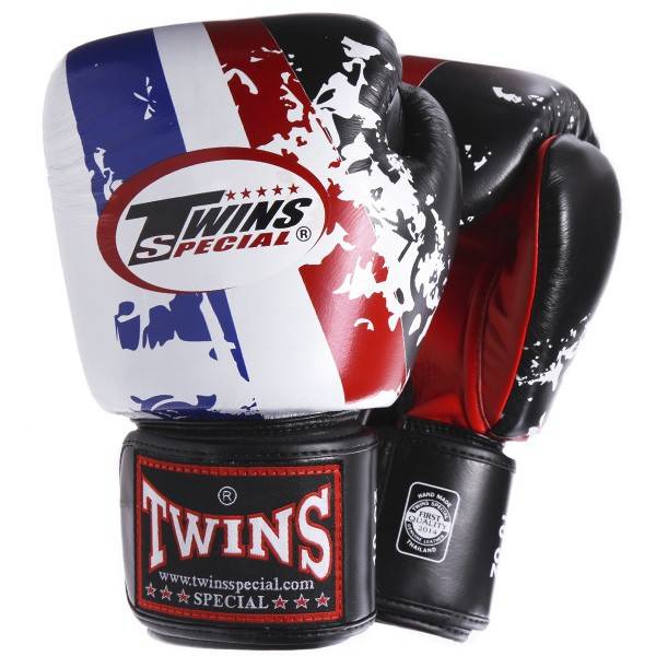 twins boxing