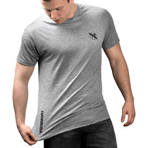 Hayabusa Performance T-shirt Grijs