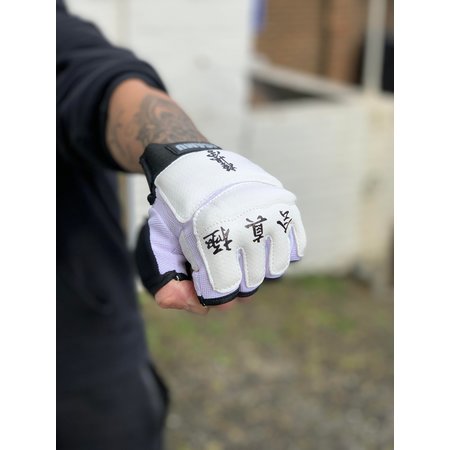 ISAMU ISAMU Kyokushin Kanji Sparring Gloves