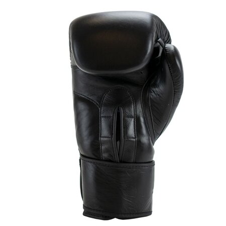 Super Pro Super Pro Combat Gear leather Thai-Pro Kickboxing gloves