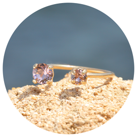 Goldener Ring LIV
