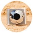 Silberner Ring CARRET