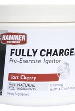 Hammer Nutrition Hammer Fully Charged - Pre Excercise Ignitor - 30 servings