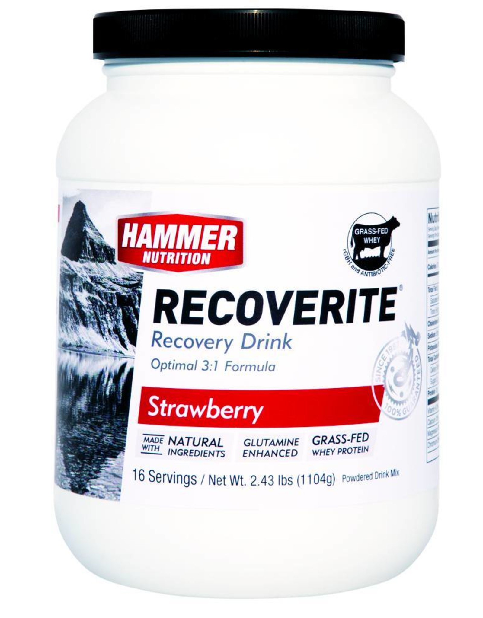 Hammer Nutrition Hammer Recoverite Hersteldrank (784gr) - 16  servings