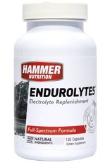 Hammer Nutrition Hammer Nutrition Endorolytes - 120 caps