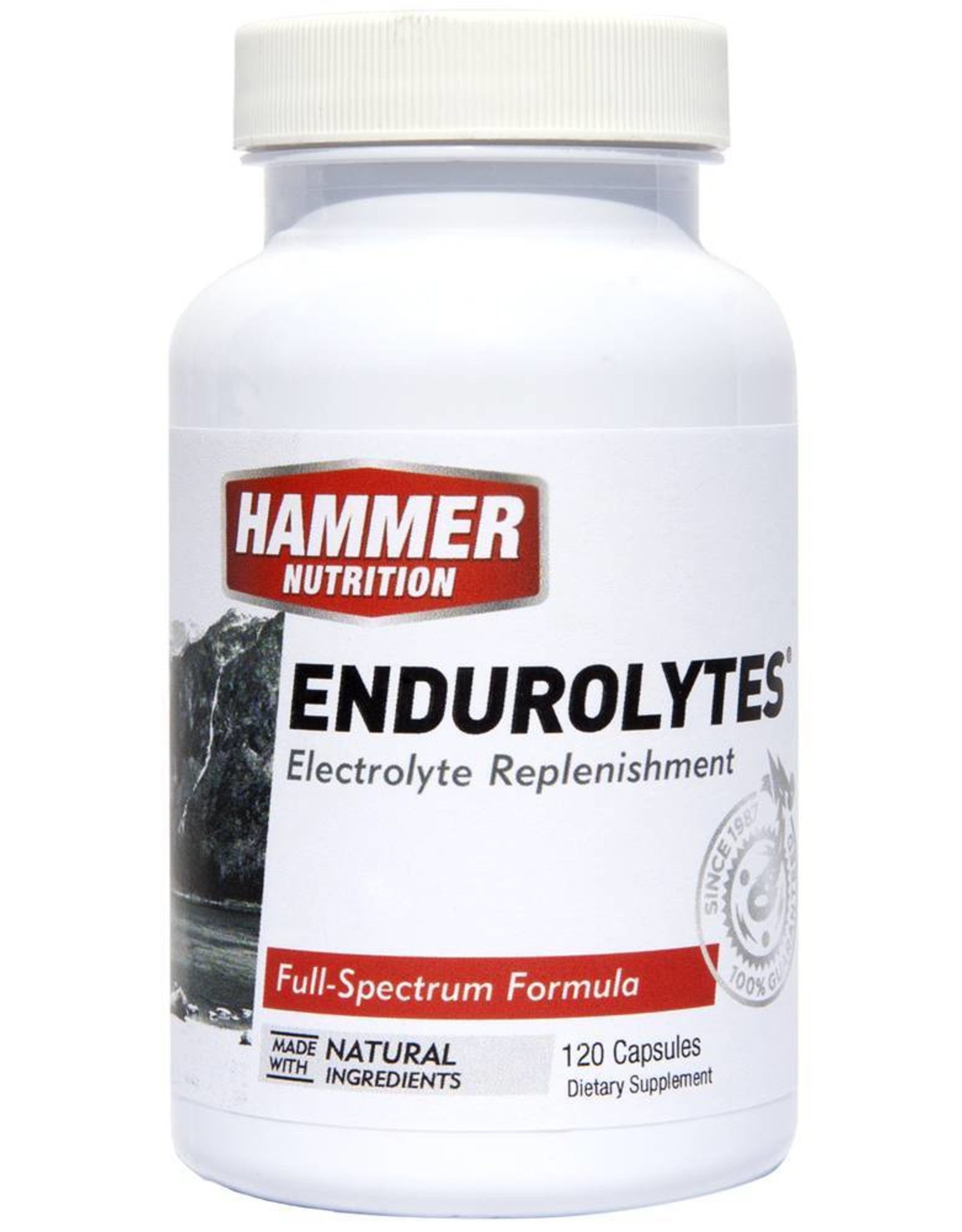 Hammer Nutrition Hammer Nutrition Endorolytes - 120 caps
