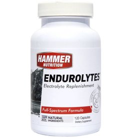 Hammer Nutrition Hammer Nutrition Endorolytes - 120 caps