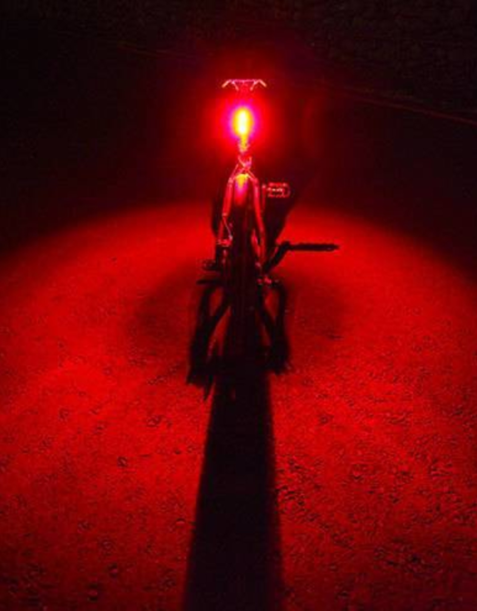 GUEE Guee Racefiets achterlicht Inox Mini-RS