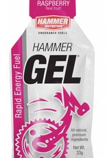 Hammer Nutrition Hammer Nutrition Energiegel (33 gr)