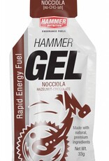 Hammer Nutrition Hammer Nutrition Energiegel (33 gr)