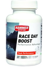 Hammer Nutrition Hammer Nutrition Race Day Boost