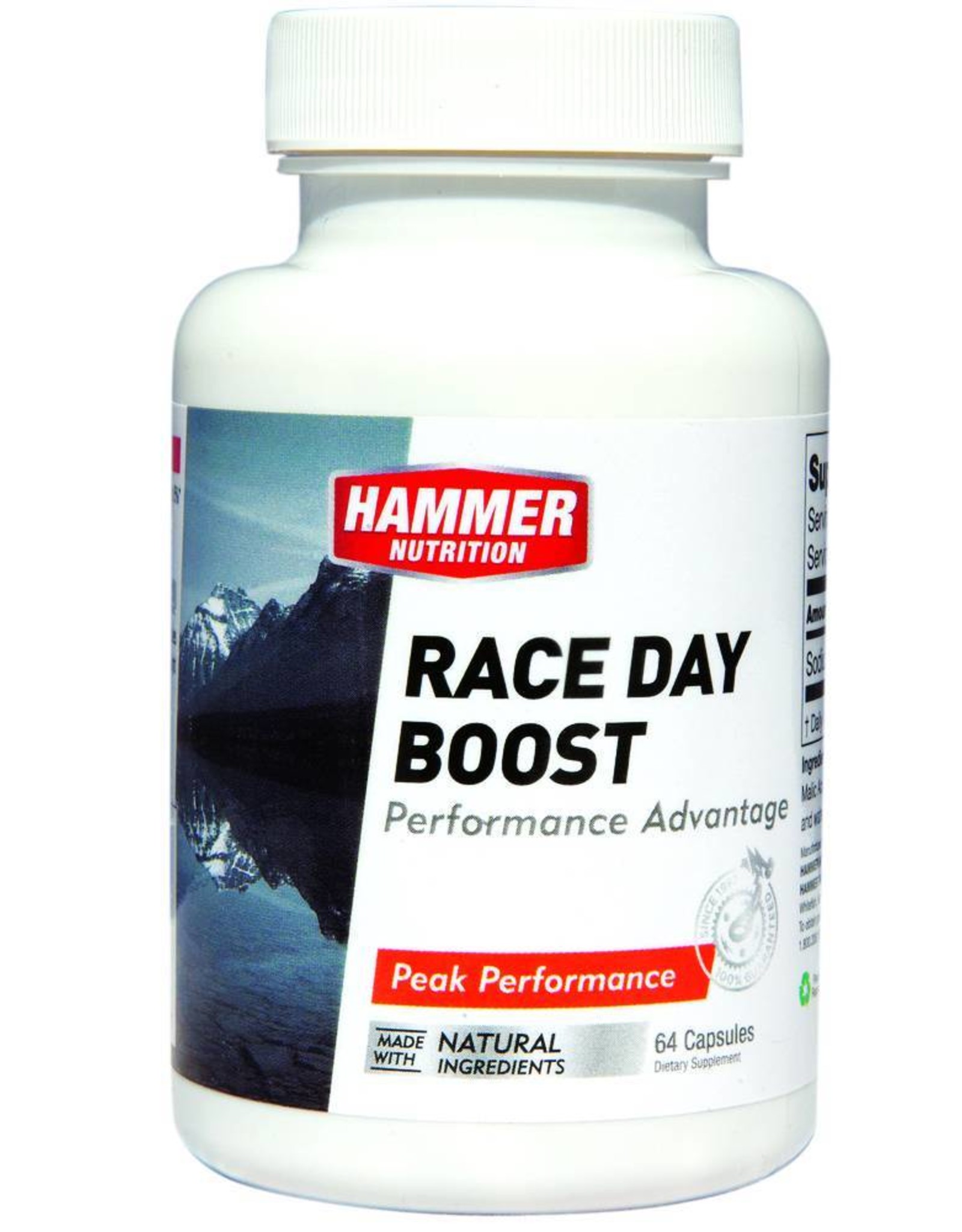 Hammer Nutrition Hammer Nutrition Race Day Boost