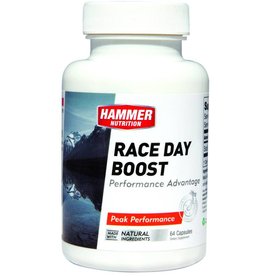 Hammer Nutrition Hammer Nutrition Race Day Boost
