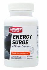 Hammer Nutrition Hammer Nutrition Surge
