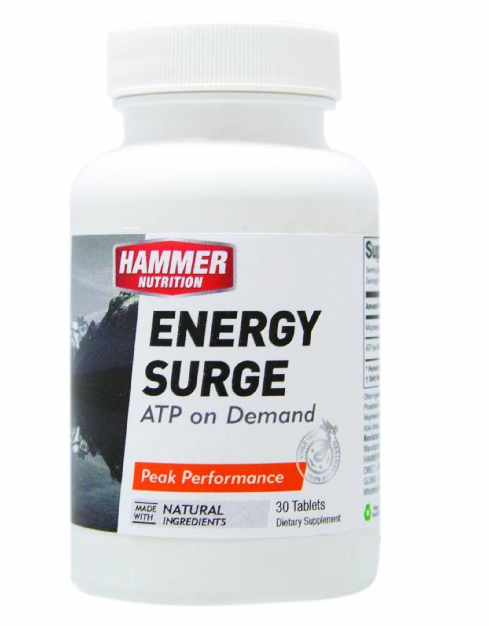 Hammer Nutrition Hammer Nutrition Surge
