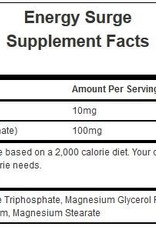 Hammer Nutrition Hammer Nutrition Surge