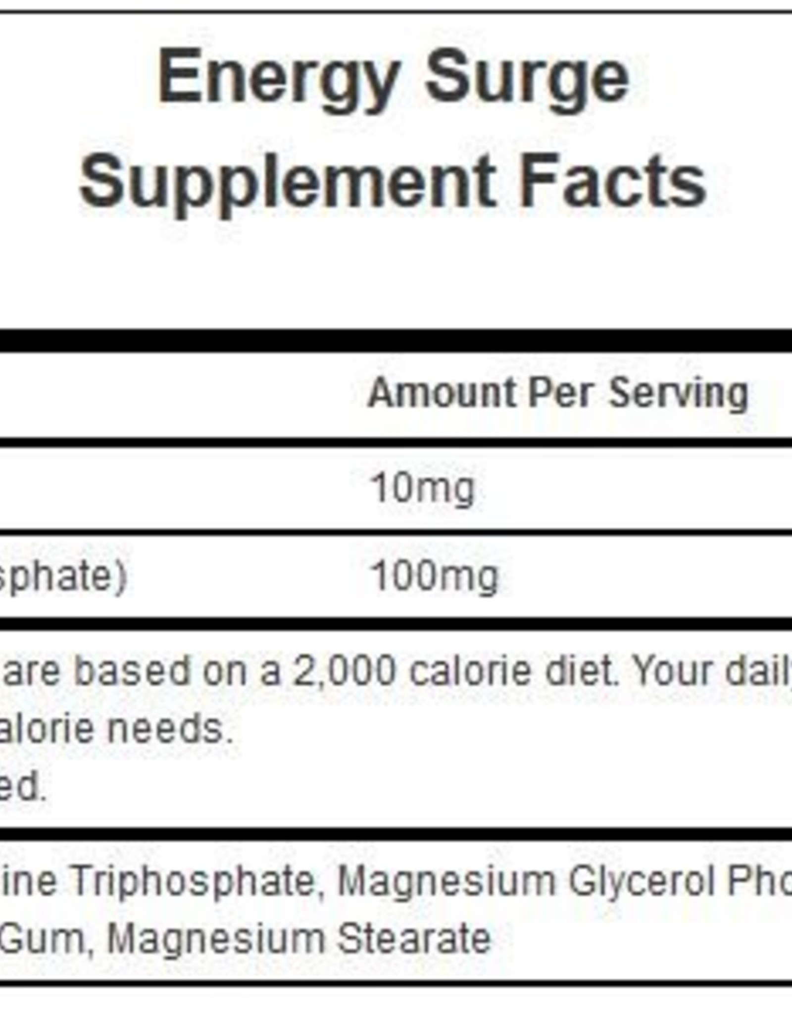 Hammer Nutrition Hammer Nutrition Surge
