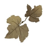 Novritsch Novritsch Leaf Camo – LC1 - Carob