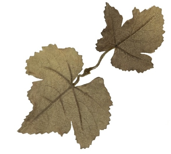 Novritsch Novritsch Leaf Camo – LC1 - Carob