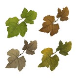 Novritsch Novritsch Leaf Camo – LC1 - Sienna