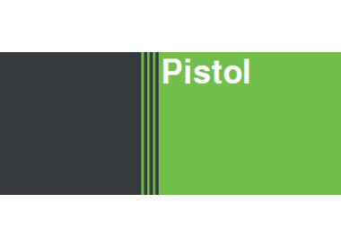 Pistol