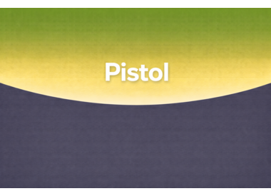 Pistol