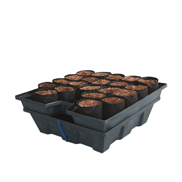 37061 TA, INSY61001, Ebb&Grow (komplett)