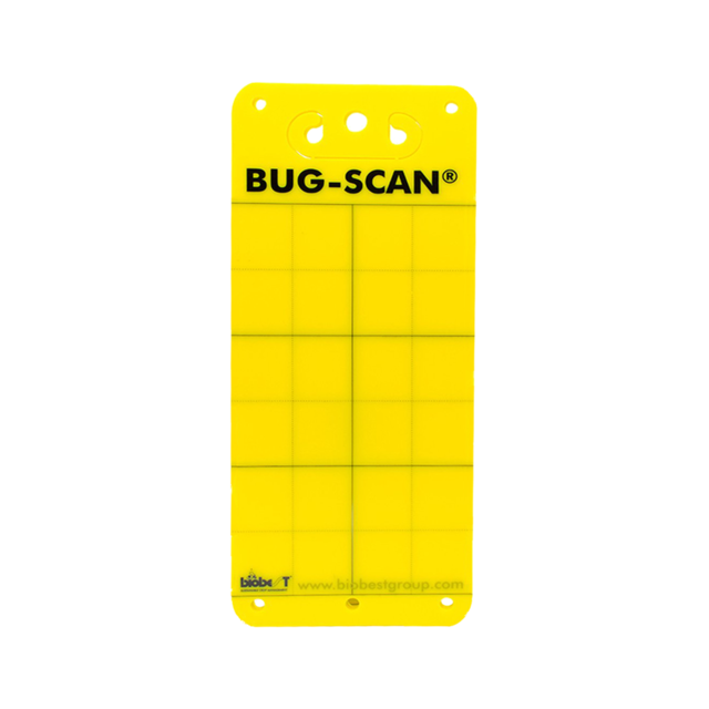 3801 catch strips YELLOW / 10 pieces