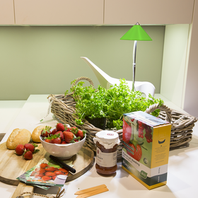 59105 Parus, PotLed iSun-Pole 7Watt, GREEN, WITHOUT controller