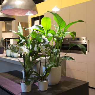 59132 Parus, PotLed iSun-Pole 10Watt, WEISS, OHNE Controller