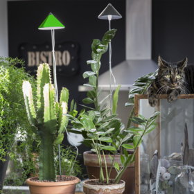 59135 Parus, PotLed iSun-Pole 10Watt, GROEN, ZONDER controller