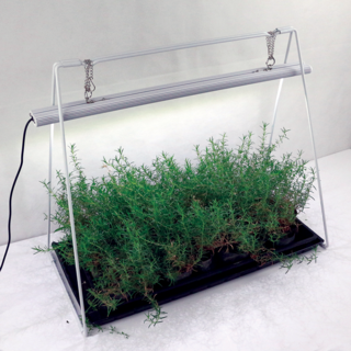 59401 PARUS, Lucis, grow-light / germinate & grow