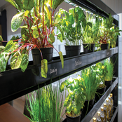 59601 PARUS, Eco Natura, 180 cm hoch / 190 cm breit / 3 Schichten / 180 Watt