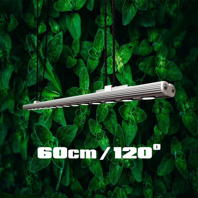 59565 Parus, Linear-Spot-LED, 60cm / 120 º / 20Watt - Greenwall/Living-Wall 240cm hoch