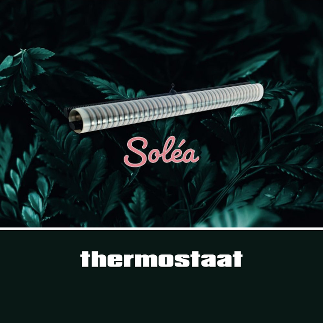 1613 Solea Nova thermostaat