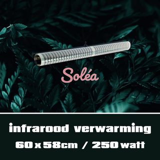 1611  Solea Ultra flat heater 250W / 60 x 58cm