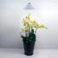 Parus 59140 Parus, PotLed iSun-Pole XL 30 Watt, WEISS, OHNE Controller
