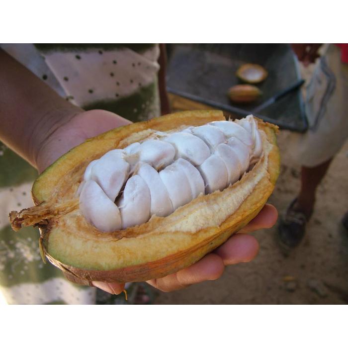 - 50% COCOA Milchschokolade | Chocolaterie Robert Malagasy, 85g