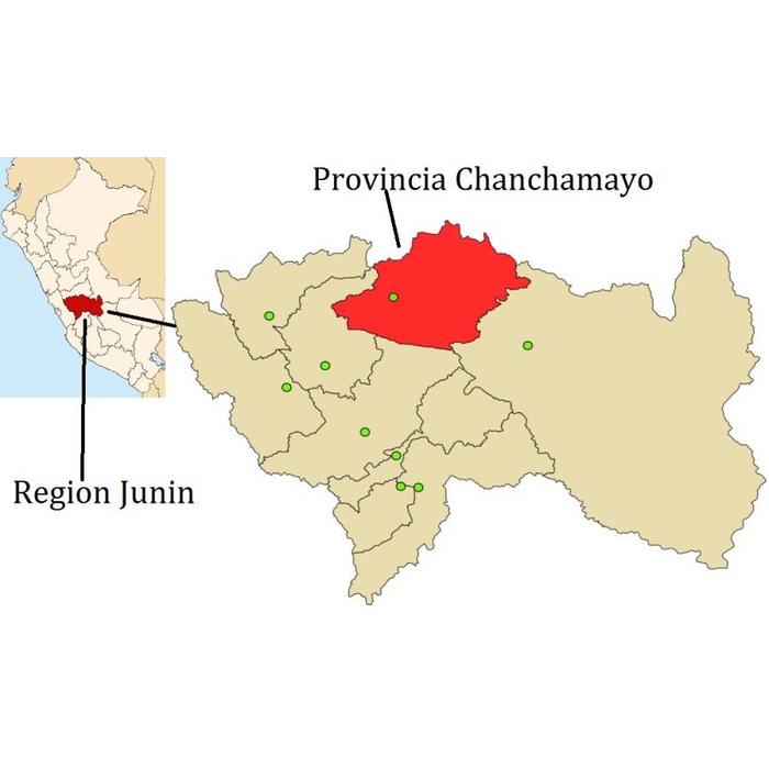 - Peru Chanchamayo 100% BIO, 100g
