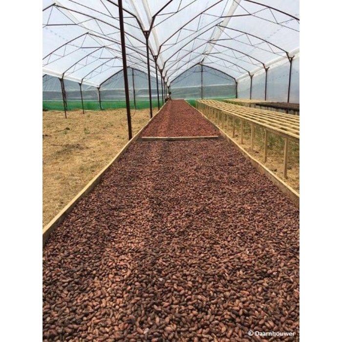 - Costa Rica 70% Quetzal, 100g