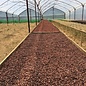 - Costa Rica 70% Quetzal, 100g