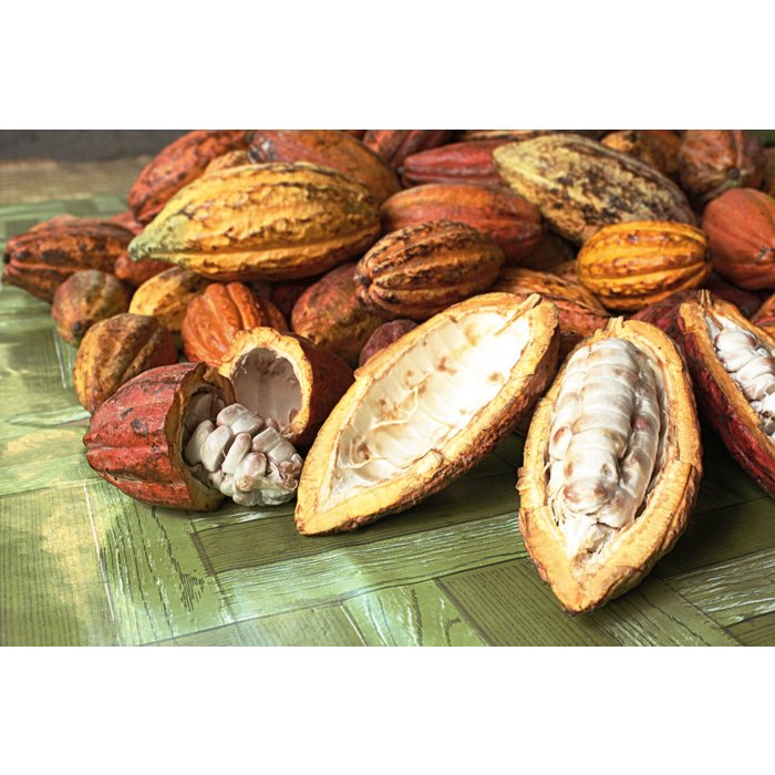 - Philippinen – Theo & Philo „Dunkle Schokolade 65 %“ mit getrockneter grüner Mango und Meersalz – exklusive Herkunftsschokolade aus Malabog, Davao